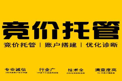 百度竞价投放效果评估及案例解读